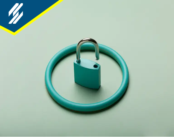 Compello Partners Cyber Security